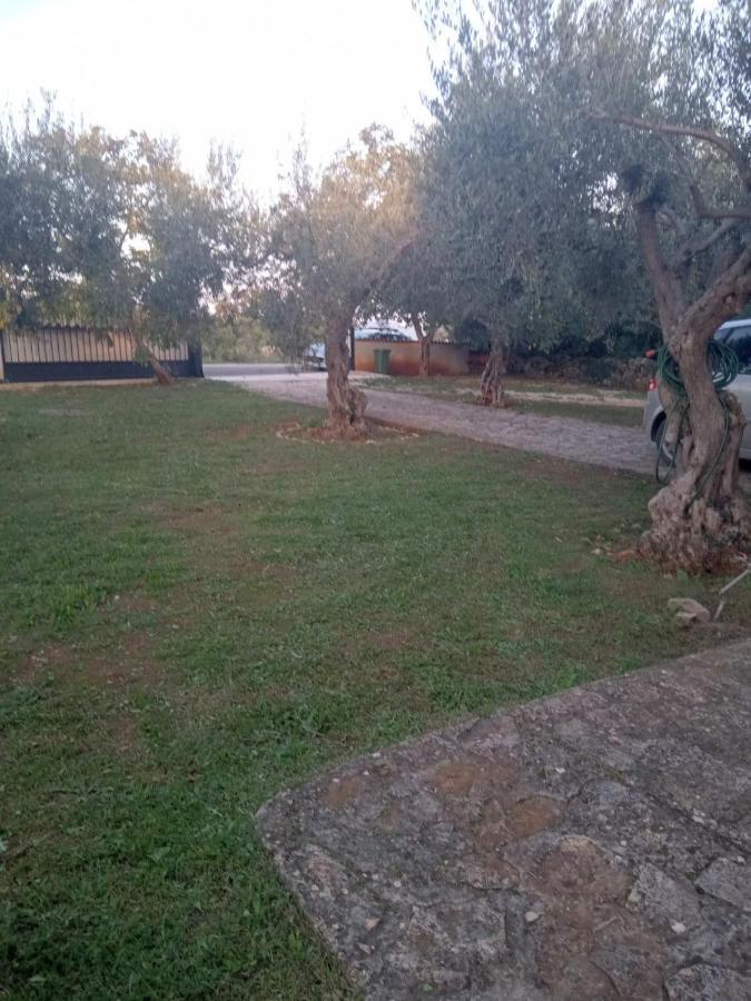 Apartman Krcina Krnica Exteriör bild